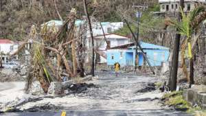 Great Carrot Bay after Irma and Maria, Joel Rouse