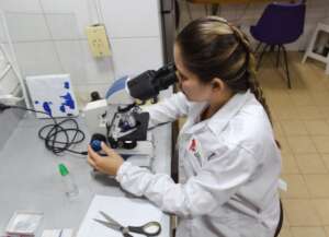 Head of our lab analyzing samples