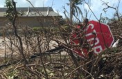 Direct Relief Response to Irma - US & Caribbean