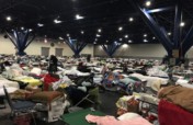 Houston Immigrant Women and Children in Need