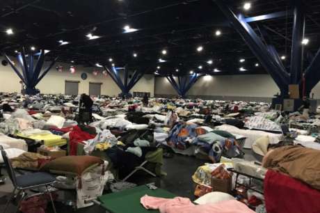 Houston Immigrant Women and Children in Need