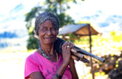 Women Driving Peace and Economic Development