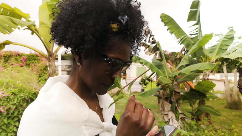 When we harness connectivity, new systems are born