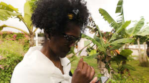 When we harness connectivity, new systems are born