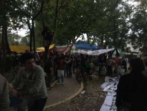 Camps