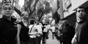 CDMX, volunteer