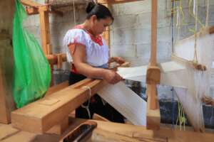 Experts in pedal loom