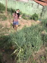 Harvesting organic produce for delivery, too