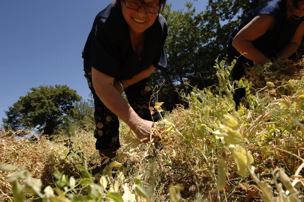 Central Italy Earthquake Relief - Slow Food