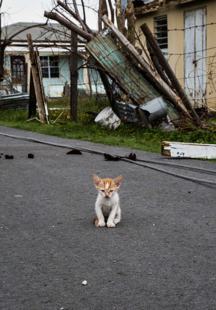 Barbuda Resilience Fund