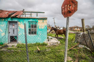 71% of houses are damaged beyond repair