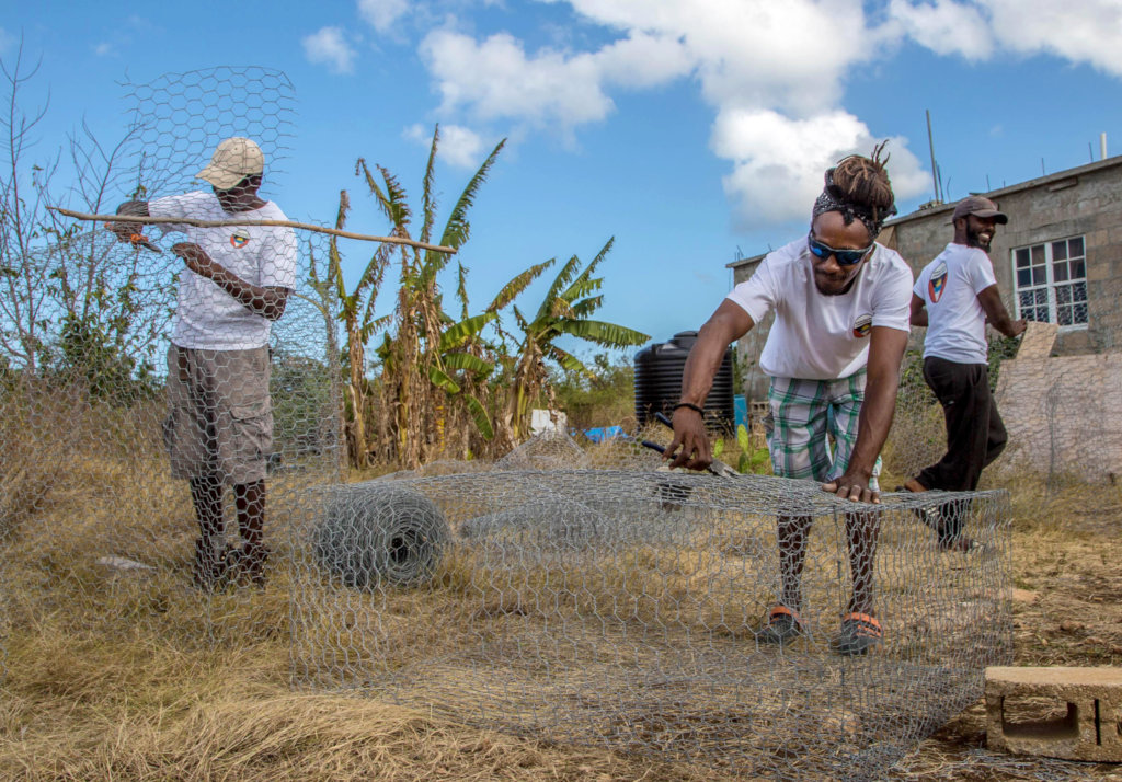 Barbuda Resilience Fund