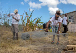 Barbuda Resilience Fund