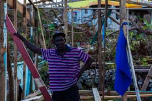 Albert - from the story of impact