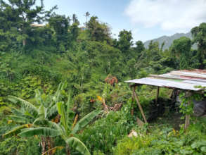 Jacqueline and Ronnie's farm.