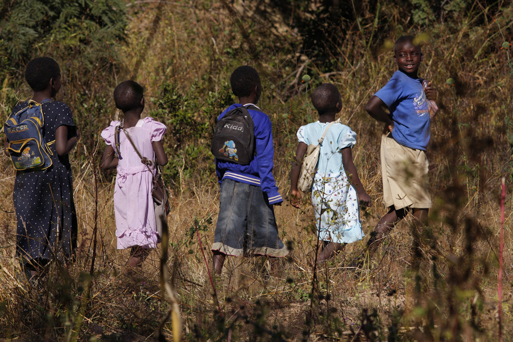Help Saviour and her friends go to school
