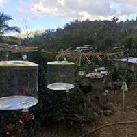 Solar lamps were provided to Adjuntas residents