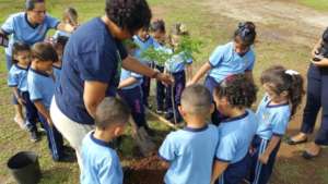 Volunteers plant trees in Guayama, PR