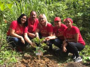 Reforestation efforts by Para la Naturaleza