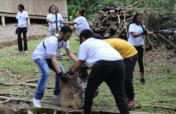 Puerto Rico emergency relief / long-term recovery