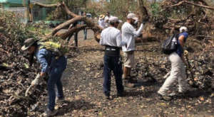 Volunteers remove debris and and fallen trees