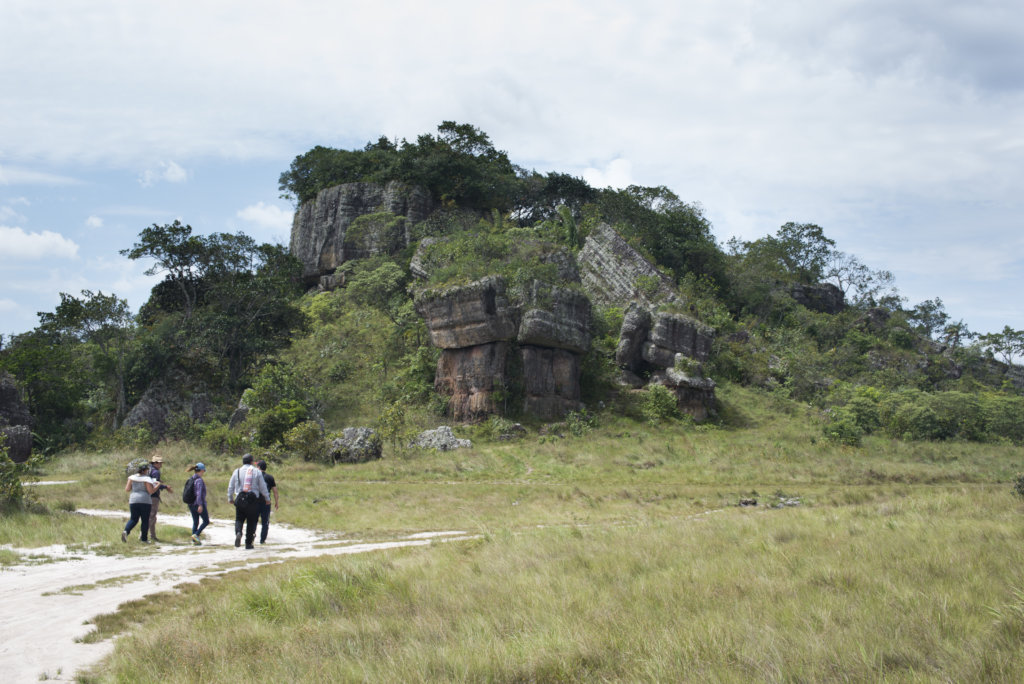 Hope and Development to Ex-combatants in Colombia