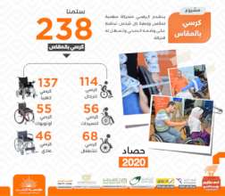 Customized Wheelchair - 2020 Figures