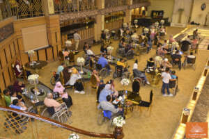 New members of Alhassan FDN