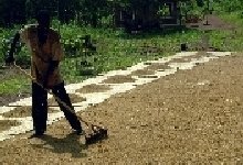 Rice processing creates jobs for 10 people Nigeria