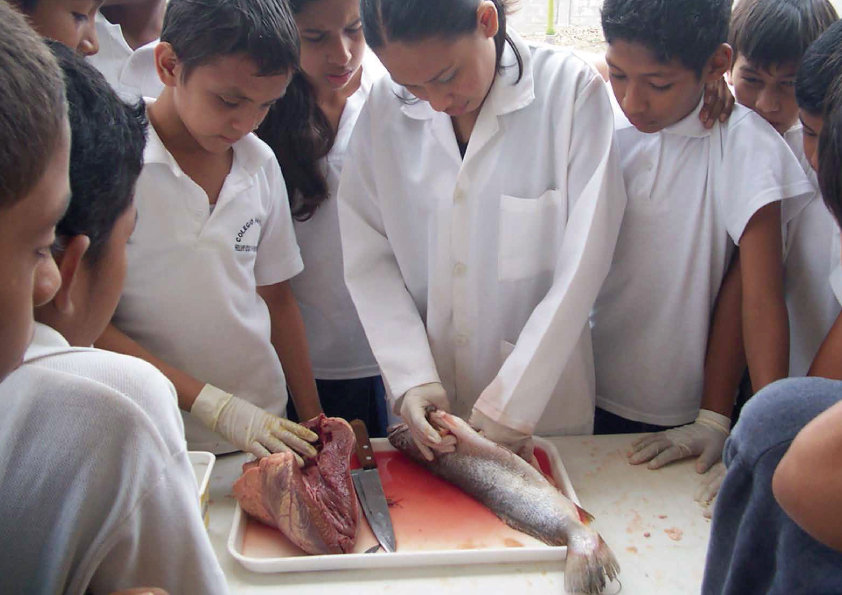 Give Kids Access to Education and Food in Ecuador
