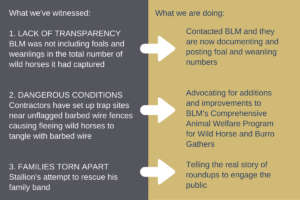 What We've Witnessed: What We're Doing About It