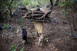 Help to lighten her load