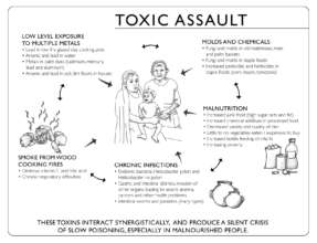 Toxic Assault