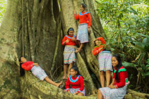 The Girls & an ancient Tree