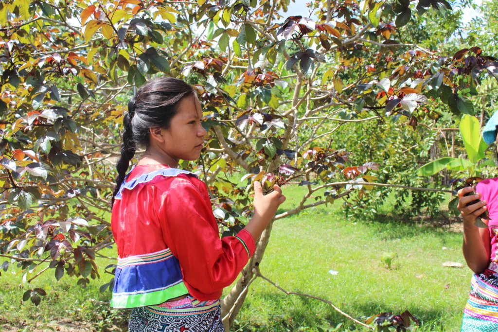 Empower Indigenous Youth Activist Association