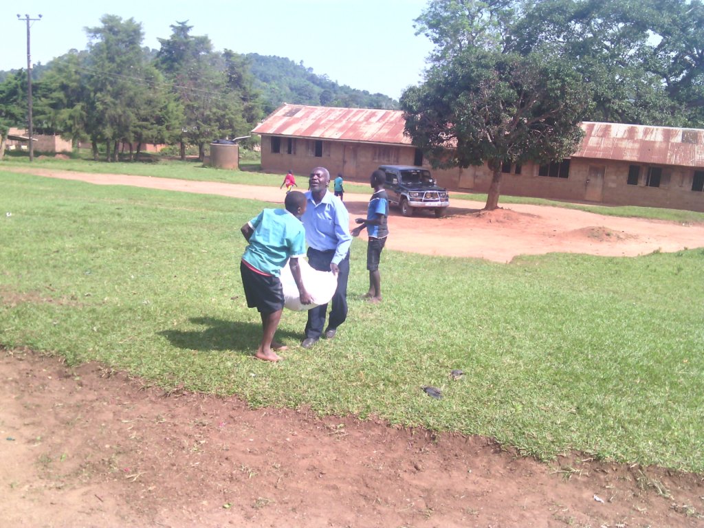 School gardens to eliminate hunger in schools