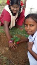 Children planting trees