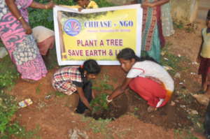 Plant 1000 trees in rural schools