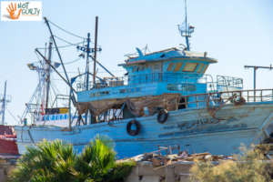 Suez famous for ships that pass through it