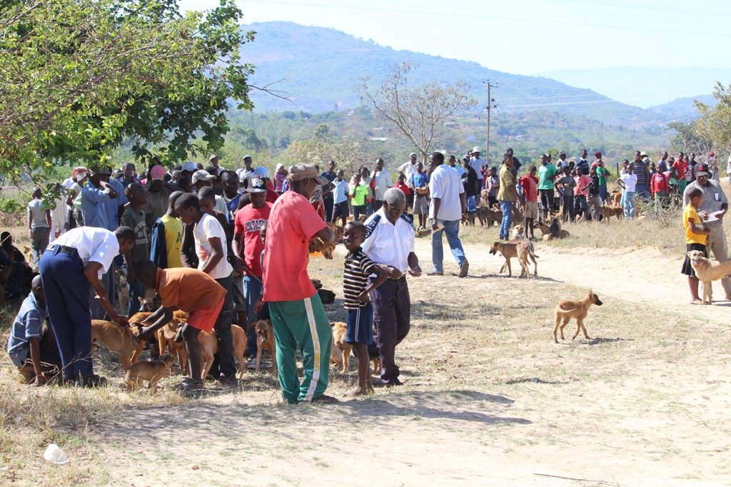 BE PART OF OUR DREAM TO HALT RABIES IN MANICALAND
