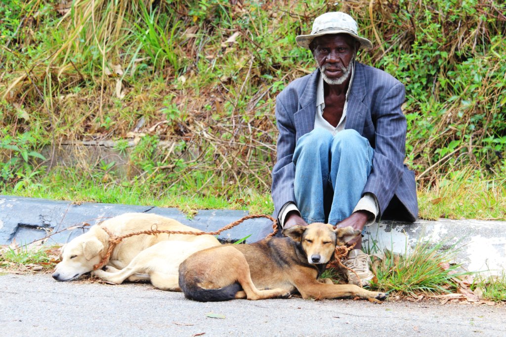 BE PART OF OUR DREAM TO HALT RABIES IN MANICALAND