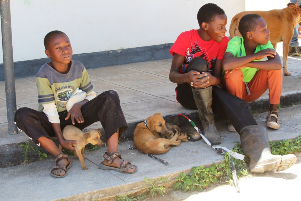 BE PART OF OUR DREAM TO HALT RABIES IN MANICALAND