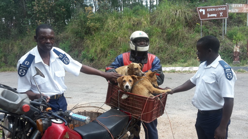 BE PART OF OUR DREAM TO HALT RABIES IN MANICALAND