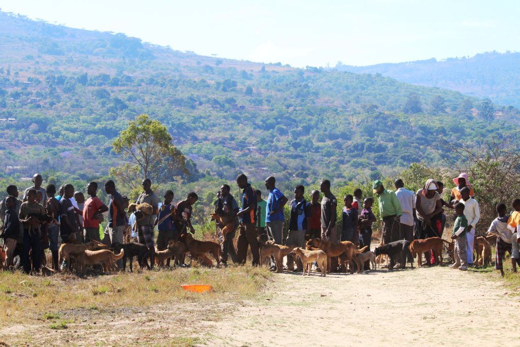 BE PART OF OUR DREAM TO HALT RABIES IN MANICALAND