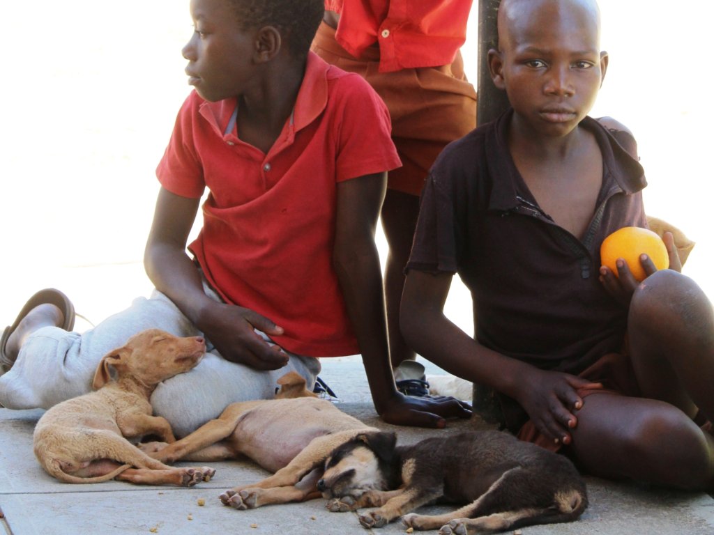 BE PART OF OUR DREAM TO HALT RABIES IN MANICALAND