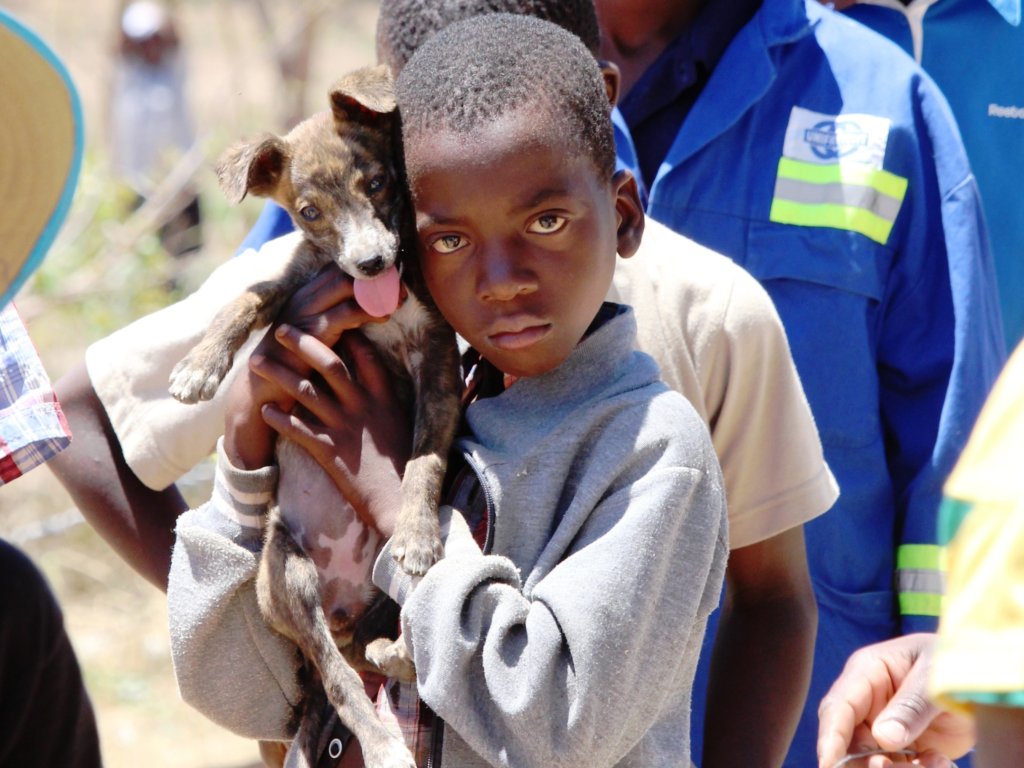BE PART OF OUR DREAM TO HALT RABIES IN MANICALAND