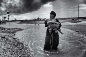 Rohingya
