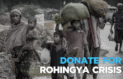 Addressing the Urgent Needs of the Rohingyas