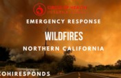 COHI Responds: Northern California Wildfires