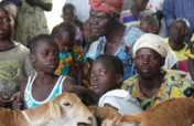 Give pregnant goat to widow or orphan in Uganda